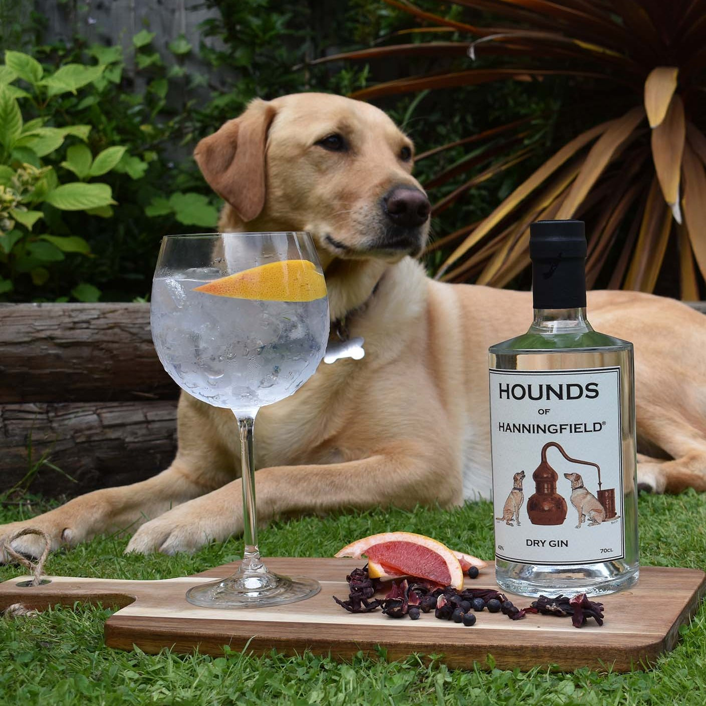 Hounds of Hanningfield Classic Gin - 70cl